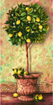 Лимонное дерево, 40х80 см